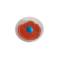 Sand with Plastic Mold