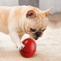 Interactive Dog Feeder Food Dispensing