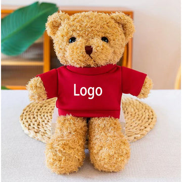 Teddy Bear With Choice of T-Shirt Color
