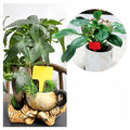 Gardening Label Insert Plate Plastic Marker for Plants
