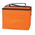 6-Can Cooler Bag