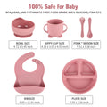 6-Piece Baby Silicone Feeding Set