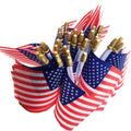 Wooden Pole Hand-Held Flag