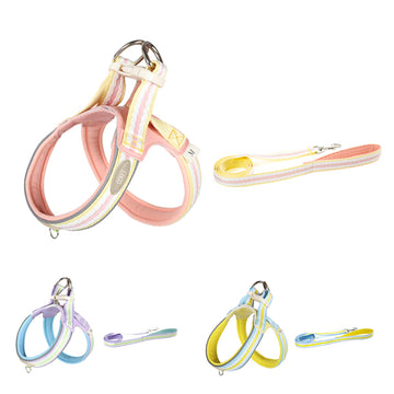 Dog Harness With Leash