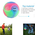 Light Up Dog Balls