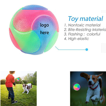 Light Up Dog Balls