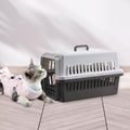 Small Airline Pet Carrier