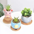 Bamboo Coaster