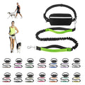 Nylon Waist Dog Leash