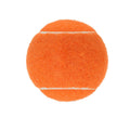 Dog Tennis Ball