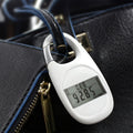 Portable Electronic Pedometer