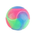 Light Up Dog Balls