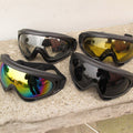 Ski Goggles
