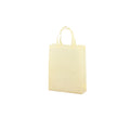Non-Woven Gift Bag