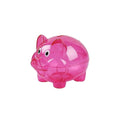 Clear Plastic Coin Bank
