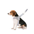 Pet Harness Y-Shaped