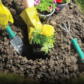10 Pieces Garden Tool Set