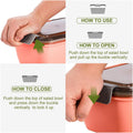 Salad Lunch Container With 4 Compartment Tray