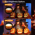 Halloween Pumpkin Lights