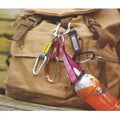 Carabiner Lanyard Keychain