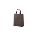Non-Woven Gift Bag