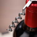 Professional Wine Corkscrew Opener Foil Cutter Leather Case