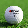 Professional Golf Balls