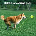 Pet Toy Fetching Tennis Ball