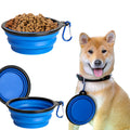 Foldable Pet Bowl