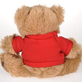 Teddy Bear Stuffed Toy Dressed Bear Doll