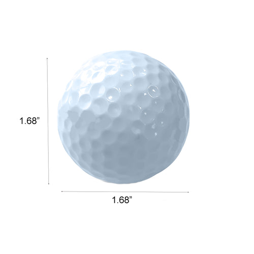 2 Layer White Golf Practice Ball